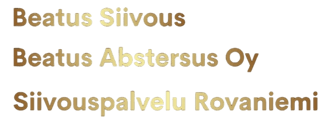 Beatus Cleaning- Beatus Abstersus Oy- Cleaning Service Rovaniemi