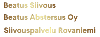 Beatus Cleaning- Beatus Abstersus Oy- Cleaning Service Rovaniemi